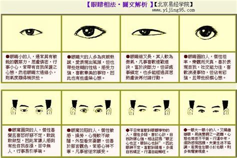 五官面相|面相大全图解：五官如何揭示命运之谜？